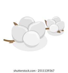 Ilustração 3D Isométrica Plana Vetor da Coleção de Flores de Algodão, Produto Puro e Orgânico. Rubrica 4