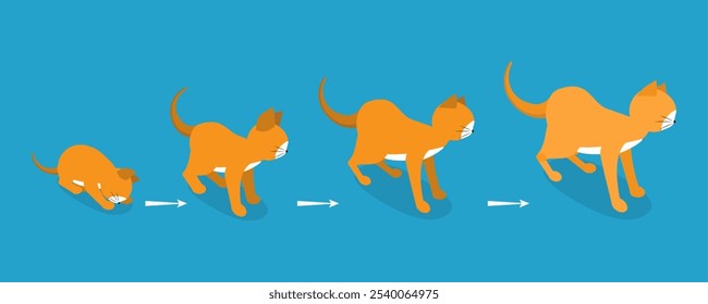 3D Isometric Flat Vector Illustration of Cat Life Cycle, Pets in Different Ages