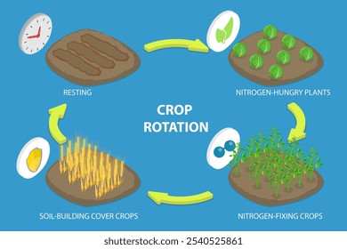 3D Isometric Flat Vector Illustration of Crop Rotation, Growing a Series of Different Types of Plants in the Same Area