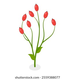 3D Isometric Flat Vector Illustration of Flowers Collection, Set of Various Blooming Plants. Item 3