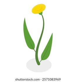3D Isometric Flat Vector Illustration of Flowers Collection, Set of Various Blooming Plants. Item 5