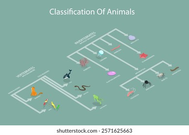 3D Isometric Flat Vector Illustration of Animal Classification System, Zoology and Biology Basics