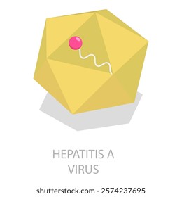 3D Isometric Flat Vector Illustration of Hepatitis Viruses, Liver Disease. Item 5