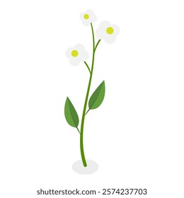 3D Isometric Flat Vector Illustration of Flowers Collection, Set of Various Blooming Plants. Item 6