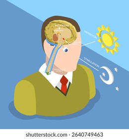 3D Isometric Flat Vector Illustration of Natural Sleep-wake Biological Process, Understanding How Daylight Affects Melatonin Production And Body Clocks In Humans