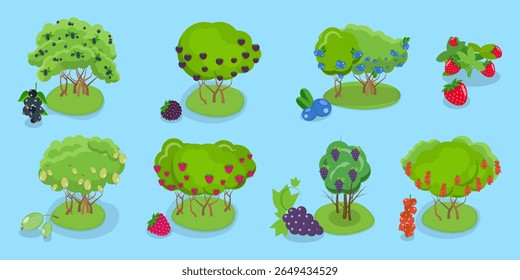 3D Isometric Flat Vector Illustration of Organic Fruits and Berries , Collection Of Shrubs Perfect For Gardens And Landscaping