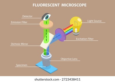 Ilustração de vetor plana isométrica 3D de microscópio fluorescente, princípio e estrutura do instrumento