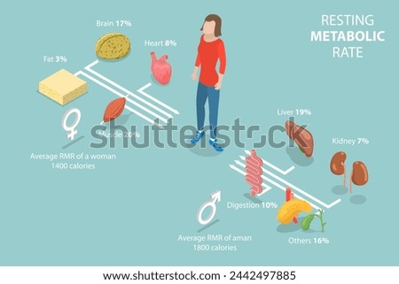 3D Isometric Flat Vector Illustration of Resting Metabolic Rate , Calories Consumption for Everyday Performances