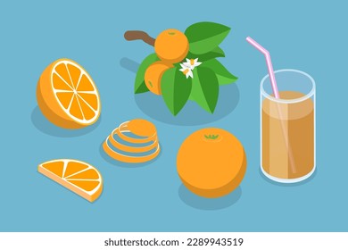 3D Isometric Flat Vector Set of Orange Fruit, Whole and Slices, Branch with Leaves