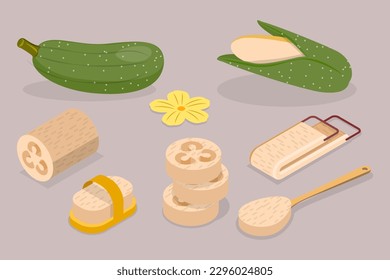 3D Isometric Flat Vector Set of Vietnamese Luffa, Loofah Vegetable