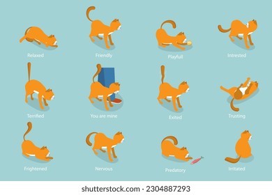 3D Isometric Flat Vector Set of Cats Behavior Poses, Kitty Reactions