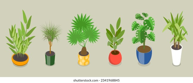 Vector plano isométrico 3D de plantas domésticas, diferentes plantas interiores