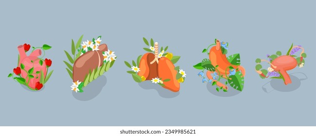 3D Isometric Flat Vector Set of Human Organs With Flowers, Floral Internal Anatomy