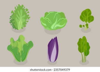 3D Isometric Flat Vector Set of Salad Greens