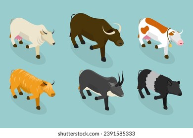 3D Isometric Flat Vector Set of Bulls And Cows