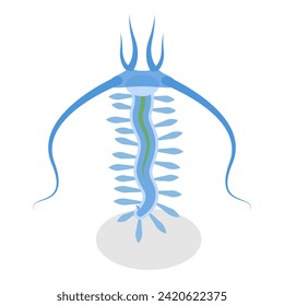 3D Isometric Flat Vector Set of Varieties Of Plankton, Collection of Small Water Organisms. Item 4