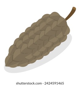 3D Isometric Flat Vector Set of Acorns And Cones, Natural Objects. Item 4