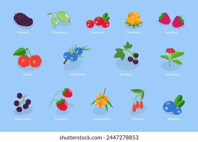 3D Isometric Flat Vector Set of Berries, Healthy Detox Natural Products