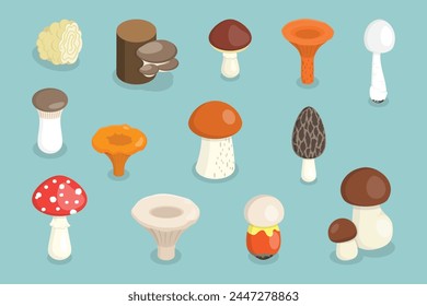 3D Isometric Flat Vector Set of Mushrooms, Fungus Plants