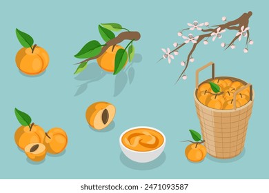 3D Isometric Flat Vector Set of Apricots and Elements, Farm Products