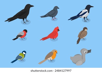 3D Isometric Flat Vector Set of City Birds, Sparrow, Tit, Pigeon, and Crow