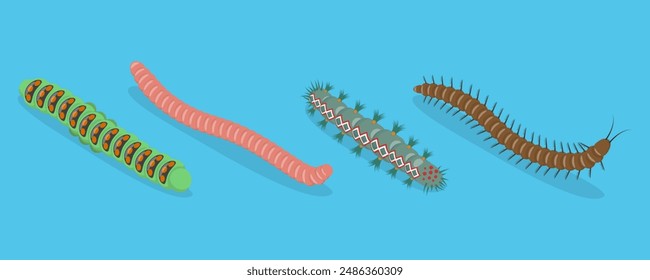 3D Isometric Flat Vector Set of Caterpillars And Worms, Biology and Education