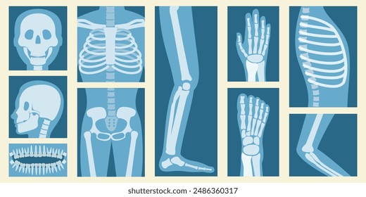 Conjunto de Vector plano isométrico 3D de XRay de partes del cuerpo humano, esqueleto y escaneo de huesos