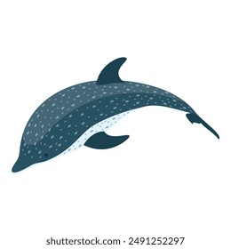 3D Isometric Flat Vector Set of Types Of Dolphins, Educational Classification. Item 1