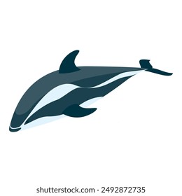 3D Isometric Flat Vector Set of Types Of Dolphins, Educational Classification. Item 2