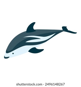 3D Isometric Flat Vector Set of Types Of Dolphins, Educational Classification. Item 3