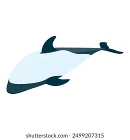 3D Isometric Flat Vector Set of Types Of Dolphins, Educational Classification. Item 4