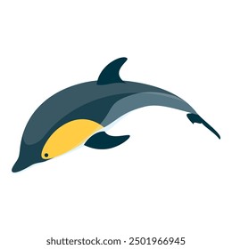 3D Isometric Flat Vector Set of Types Of Dolphins, Educational Classification. Item 5