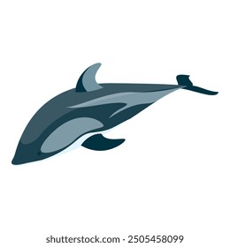 3D Isometric Flat Vector Set of Types Of Dolphins, Educational Classification. Item 6