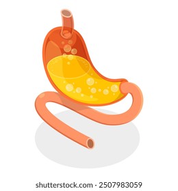 3D Isometric Flat Vector Set of Stomach Problems, Digestive System Issues. Item 3