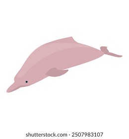 3D Isometric Flat Vector Set of Types Of Dolphins, Educational Classification. Item 7