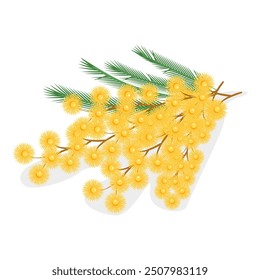 3D Isometric Flat Vector Set of Mimosa, Flower Branch, Elegant Floral Decorations. Item 3