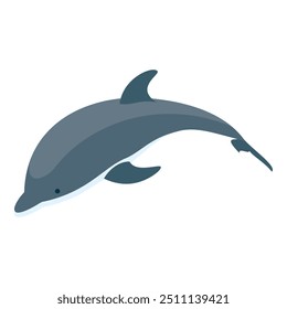 3D Isometric Flat Vector Set of Types Of Dolphins, Educational Classification. Item 8