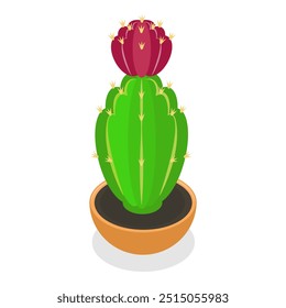 3D Isometric Flat Vector Set of Cactuses, Collection of Houseplants in Flower Pots. Item 3