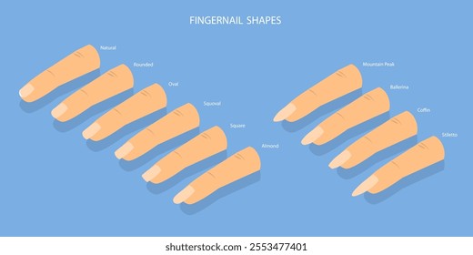 3D Isometric Flat Vector Set of Different Shapes of Fingernails, Iinds of Nails