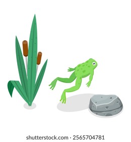 3D Isometric Flat Vector Set of Cartoon Frogs, Toad Life Cycle. Item 2