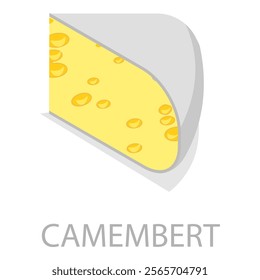 3D Isometric Flat Vector Set of Different Cheese Types, Brie, Mozzarella, Parmesan, Camembert etc.. Item 11