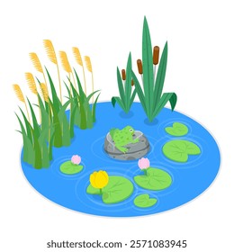 3D Isometric Flat Vector Set of Cartoon Frogs, Toad Life Cycle. Item 3