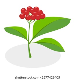 3D Isometric Flat Vector Set of Berries, Healthy Detox Natural Products. Item 3