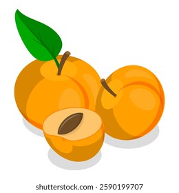 3D Isometric Flat Vector Set of Apricots and Elements, Farm Products. Item 1