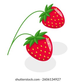 3D Isometric Flat Vector Set of Berries, Healthy Detox Natural Products. Item 6