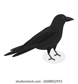 3D Isometric Flat Vector Set of City Birds, Sparrow, Tit, Pigeon, and Crow. Item 3