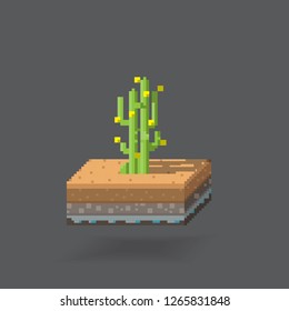 3D Isometric Pixcel 8-bit Landscape Cube - Cactus Ground  Element. Icon Can be used for Game, Web, Mobile App, Infographics. Game asset