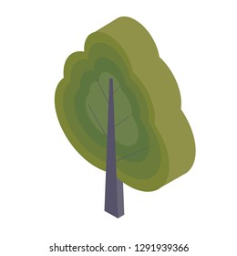 3d isometric vector green tree icon