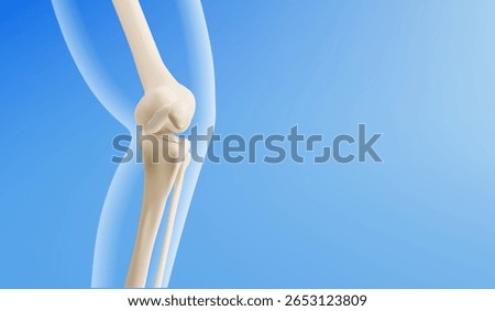 3d knee joint anatomy model - bone structure of femur, tibia and patella connection on blue background. Medical illustration of skeletal leg mechanism. Human body articulation visualization.