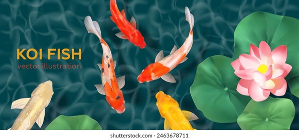 3D koi fish in water with lotuses. Multi-colored decorative carps. Vector illustration